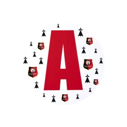 STICKER JEUNE CONDUCTEUR