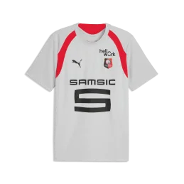 MAILLOT TRAINING PRO GRIS...