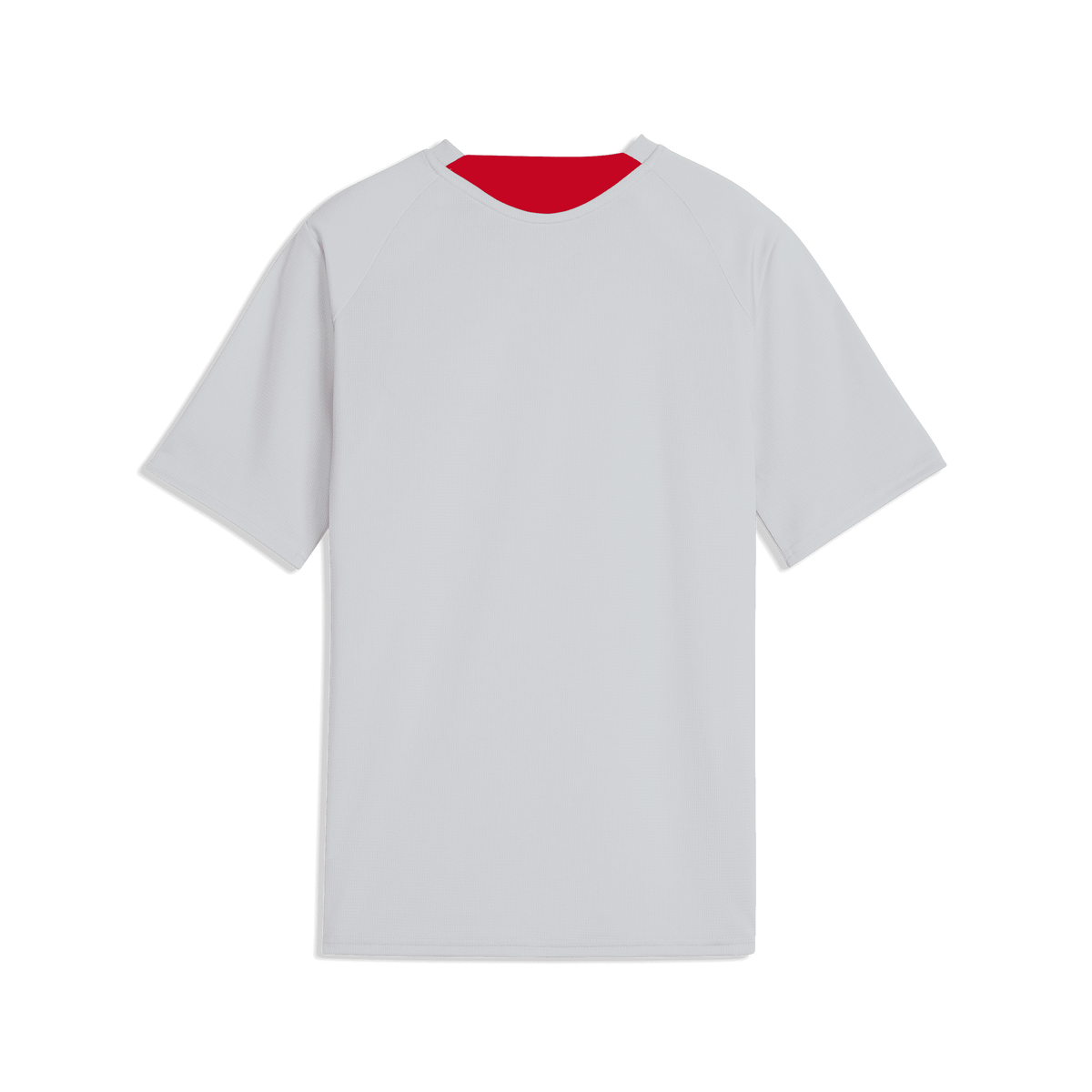 MAILLOT TRAINING PRO GRIS JUNIOR 2026-2027