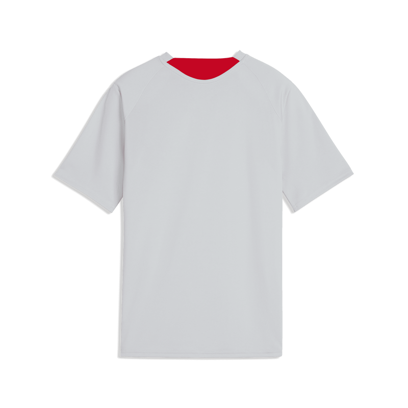 MAILLOT TRAINING PRO GRIS JUNIOR 2026-2027